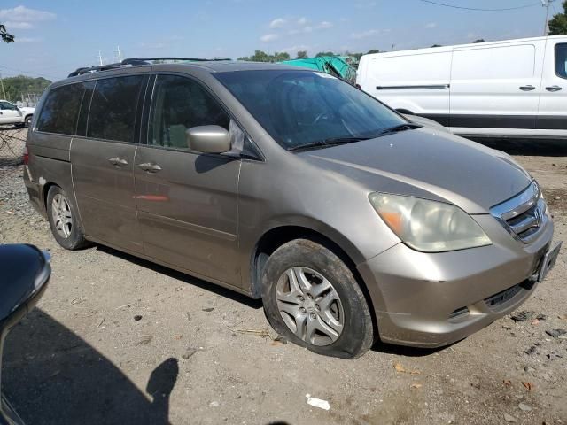 2005 Honda Odyssey EXL