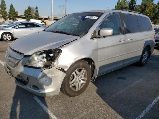 2007 Honda Odyssey EXL