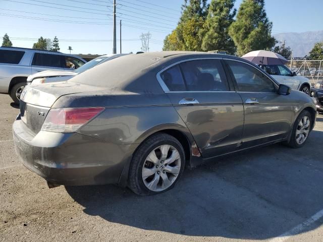 2008 Honda Accord EXL