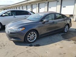 Ford Vehiculos salvage en venta: 2017 Ford Fusion SE Hybrid