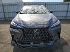 2024 Lexus NX 350H Base