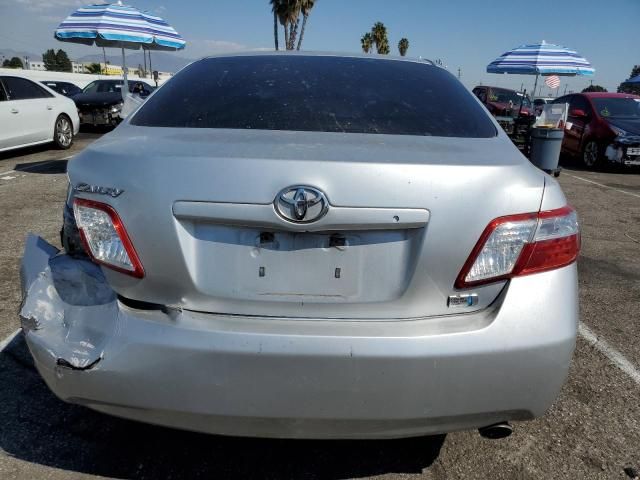 2009 Toyota Camry Hybrid