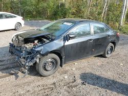 Toyota Corolla l salvage cars for sale: 2016 Toyota Corolla L