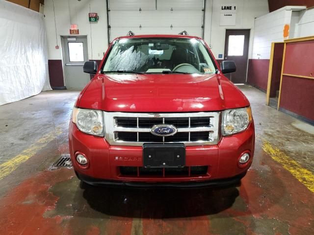 2009 Ford Escape XLT