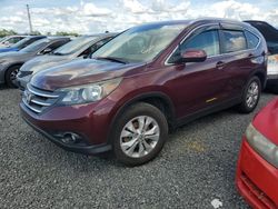 Salvage cars for sale at Riverview, FL auction: 2012 Honda CR-V EXL