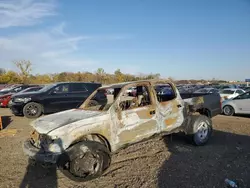 Vehiculos salvage en venta de Copart Des Moines, IA: 2003 Toyota Tacoma Double Cab