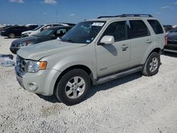 Salvage cars for sale at Temple, TX auction: 2008 Ford Escape Limited