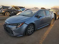 Salvage cars for sale from Copart Brighton, CO: 2020 Toyota Corolla LE