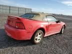 2003 Ford Mustang