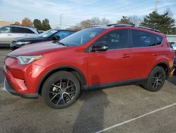 Toyota salvage cars for sale: 2016 Toyota Rav4 SE