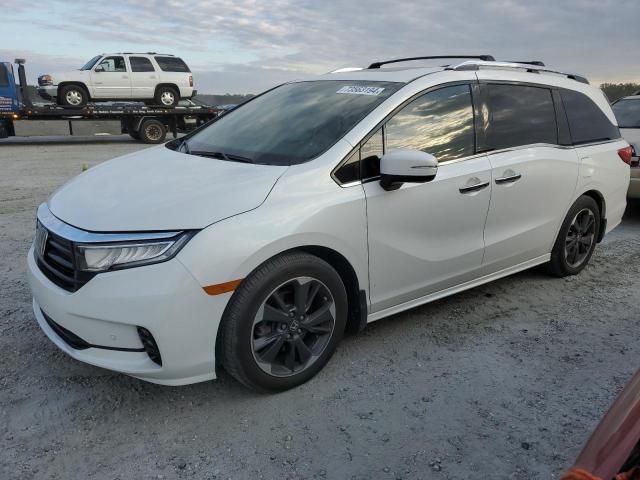 2021 Honda Odyssey Elite