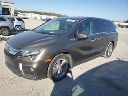 Salvage cars for sale at Earlington, KY auction: 2019 Honda Odyssey EXL