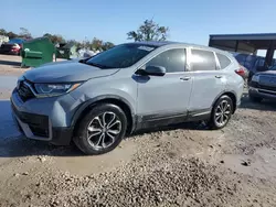 Salvage cars for sale at Riverview, FL auction: 2022 Honda CR-V EXL