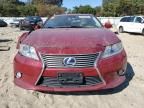 2014 Lexus ES 300H