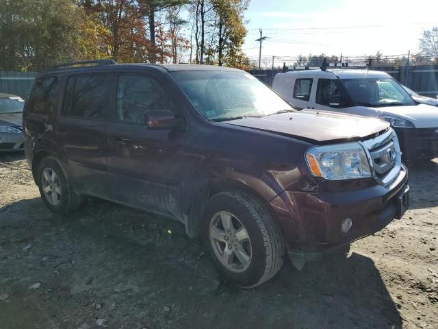 2009 Honda Pilot EXL