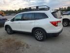 2019 Honda Pilot EXL