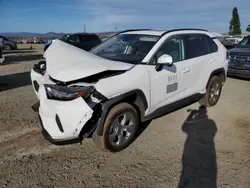 2022 Toyota Rav4 XLE en venta en American Canyon, CA