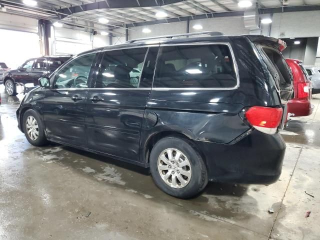 2010 Honda Odyssey EXL