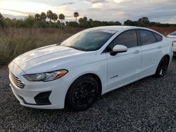 Salvage cars for sale at Fort Pierce, FL auction: 2019 Ford Fusion SE