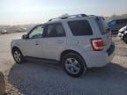 2010 Ford Escape Limited