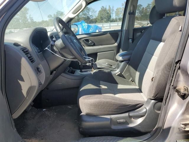 2007 Ford Escape XLT