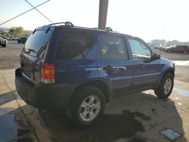 2006 Ford Escape XLT