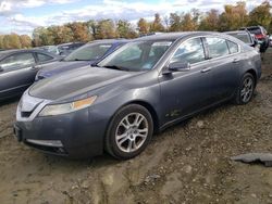 Flood-damaged cars for sale at auction: 2009 Acura TL