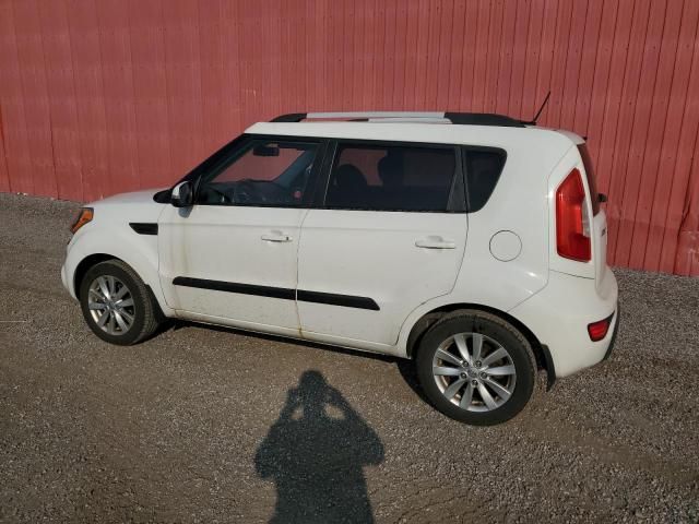 2013 KIA Soul +