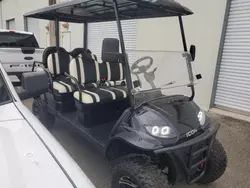 Salvage trucks for sale at Riverview, FL auction: 2022 Icon Golf Cart