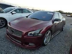 Carros dañados por inundaciones a la venta en subasta: 2010 Nissan Maxima S