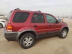 2003 Ford Escape XLT