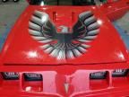 1980 Pontiac Firebird E