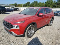 Salvage cars for sale at Memphis, TN auction: 2023 Hyundai Santa FE SEL