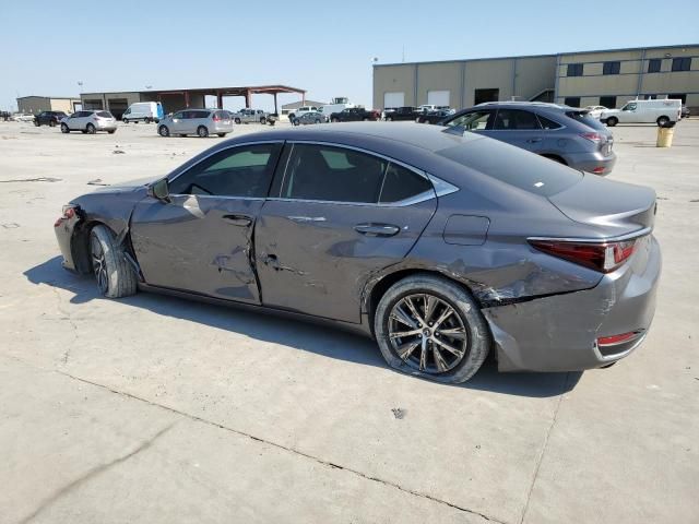 2021 Lexus ES 250 Base