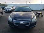 2009 Chevrolet Malibu 1LT