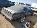 1982 Pontiac Firebird Trans AM