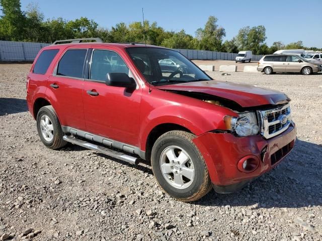 2010 Ford Escape XLT