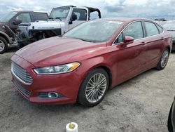 Salvage cars for sale from Copart Arcadia, FL: 2015 Ford Fusion SE