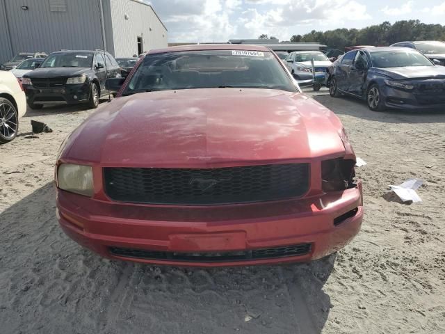 2005 Ford Mustang