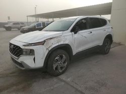 Salvage cars for sale at Anthony, TX auction: 2023 Hyundai Santa FE SE