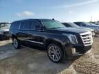 2019 Cadillac Escalade ESV Luxury