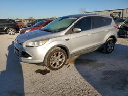 Salvage cars for sale at Kansas City, KS auction: 2013 Ford Escape SEL