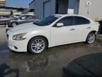 2012 Nissan Maxima S