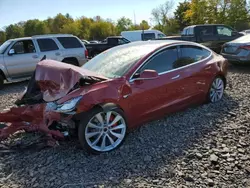 2019 Tesla Model 3 en venta en Chalfont, PA