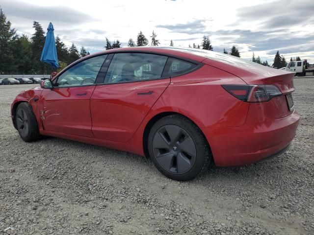 2021 Tesla Model 3