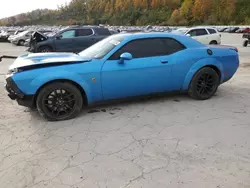 Salvage cars for sale at Hurricane, WV auction: 2019 Dodge Challenger R/T Scat Pack