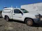 2007 Toyota Tacoma