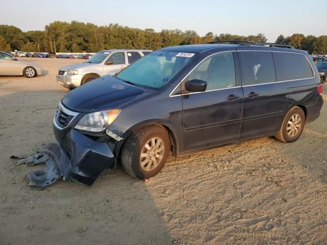 2008 Honda Odyssey EXL