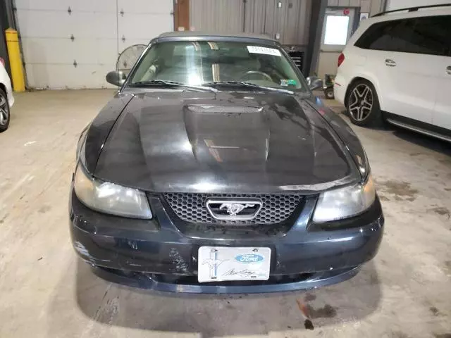 2002 Ford Mustang