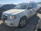 2011 Ford Escape XLS